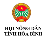 Hội NDHB